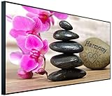 InfrarotPro | Infrarotheizung 750 Watt | Bildheizung 120x60x3 cm | Made in...